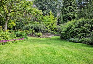 Optimiser l'expérience du jardin à Ferrieres-les-Bois